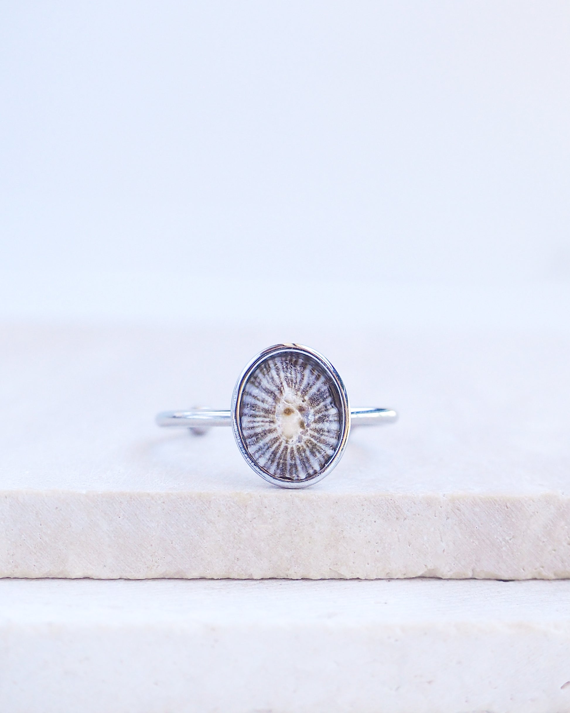 Silver Striped Limpet Shell Ring on display, Tiny Limpet Shell from Portugal set in a silver stainless steel bezel adjustable ring 