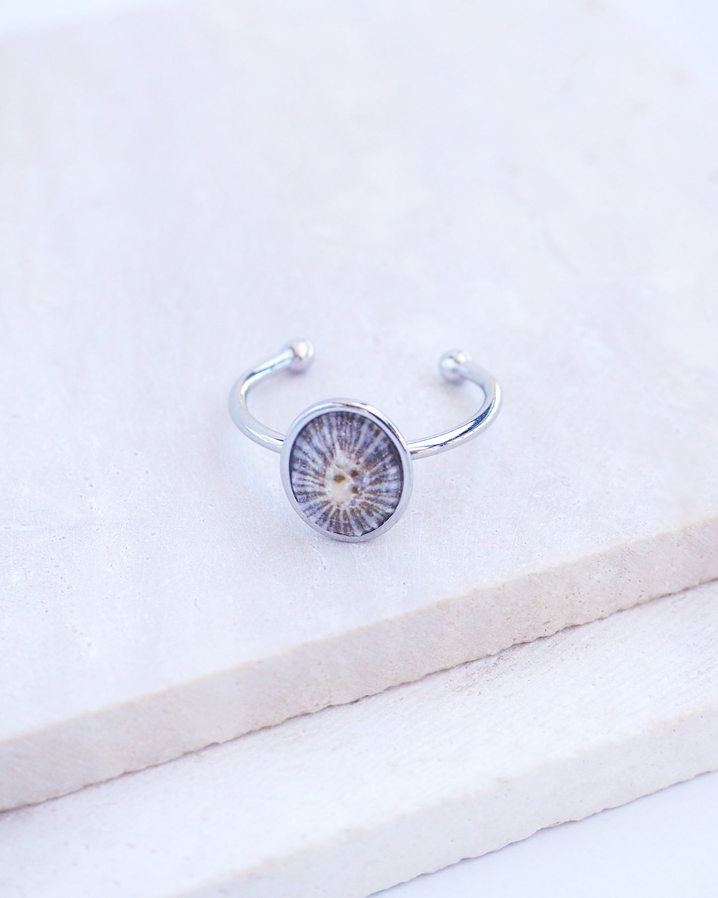 Side view of Silver Striped Limpet Shell Ring on display, Tiny Limpet Shell from Portugal set in a silver stainless steel bezel adjustable ring 