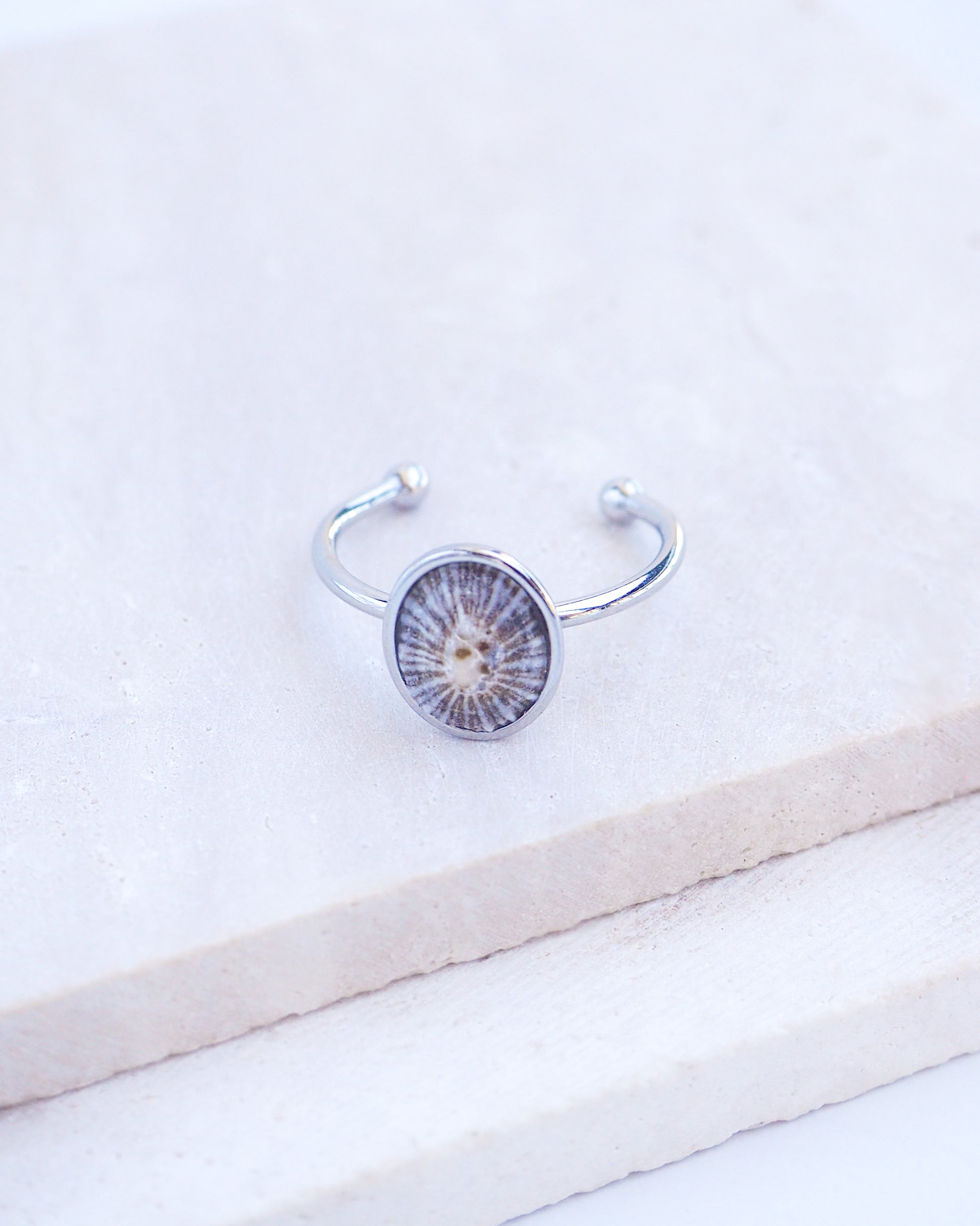 Side view of Silver Striped Limpet Shell Ring on display, Tiny Limpet Shell from Portugal set in a silver stainless steel bezel adjustable ring 