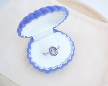 Silver Striped Limpet Shell Ring in velvet blue jewelry box, Tiny Limpet Shell from Portugal set in a silver stainless steel bezel adjustable ring 
