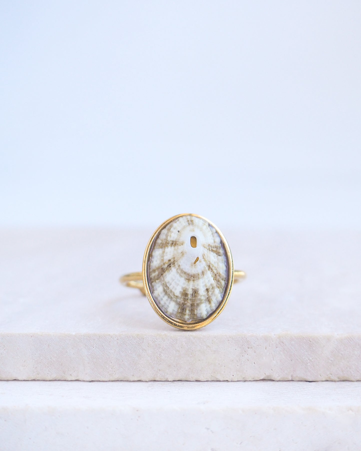 Front view of Striped Limpet Shell Ring on display. Made with a handpicked Common Keyhole Limpet Limpet Shell from Portugal set in a 18k gold stainless steel bezel. It's an adjustable ring 