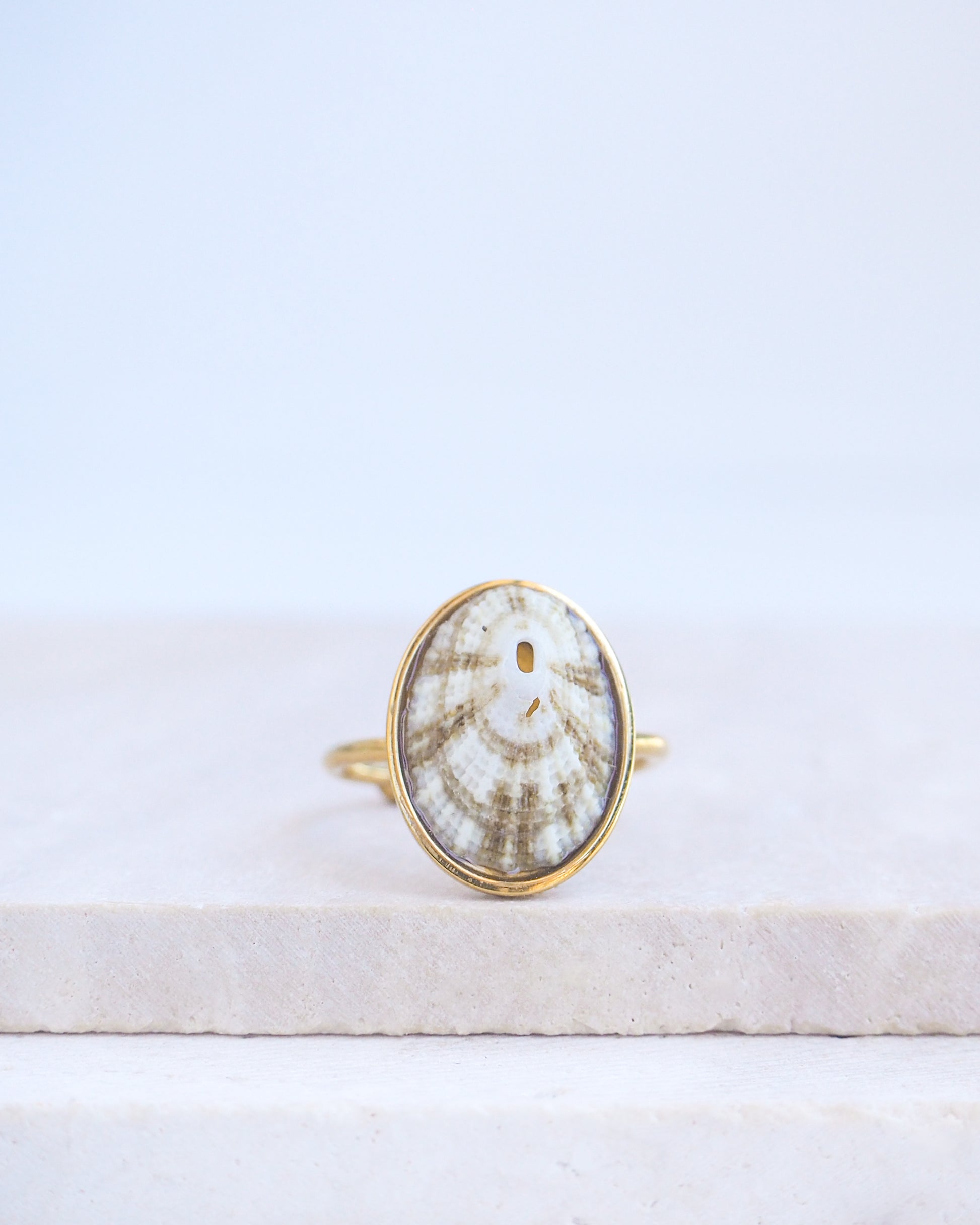 Front view of Striped Limpet Shell Ring on display. Made with a handpicked Common Keyhole Limpet Limpet Shell from Portugal set in a 18k gold stainless steel bezel. It's an adjustable ring 