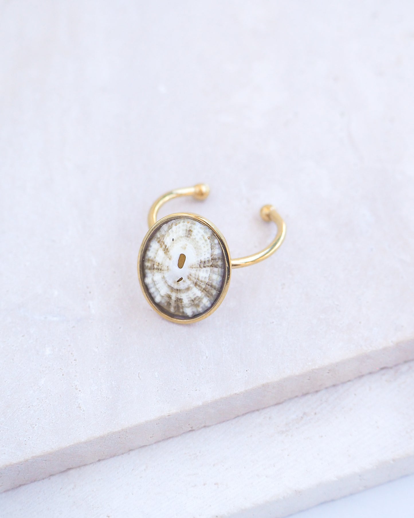 Side view of Striped Limpet Shell Ring on display. Made with a handpicked Common Keyhole Limpet Limpet Shell from Portugal set in a 18k gold stainless steel bezel. It's an adjustable ring 