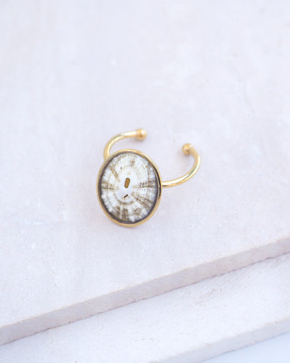 Side view of Striped Limpet Shell Ring on display. Made with a handpicked Common Keyhole Limpet Limpet Shell from Portugal set in a 18k gold stainless steel bezel. It's an adjustable ring 