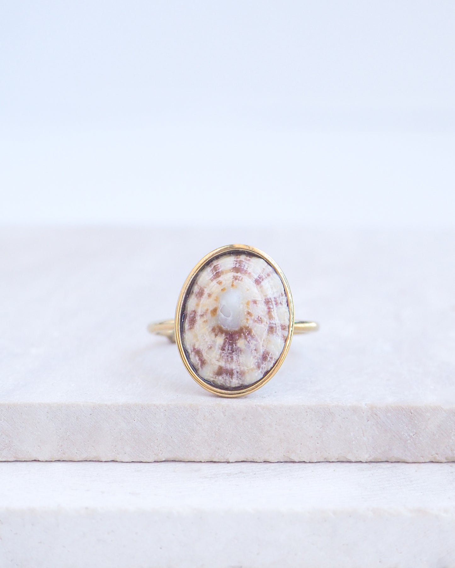 Other side of the Light Limpet Shell Bezel Ring on display. Made with a handpicked Rough Limpet Limpet Shell from Portugal set in a 18k gold stainless steel bezel. It's an adjustable ring 