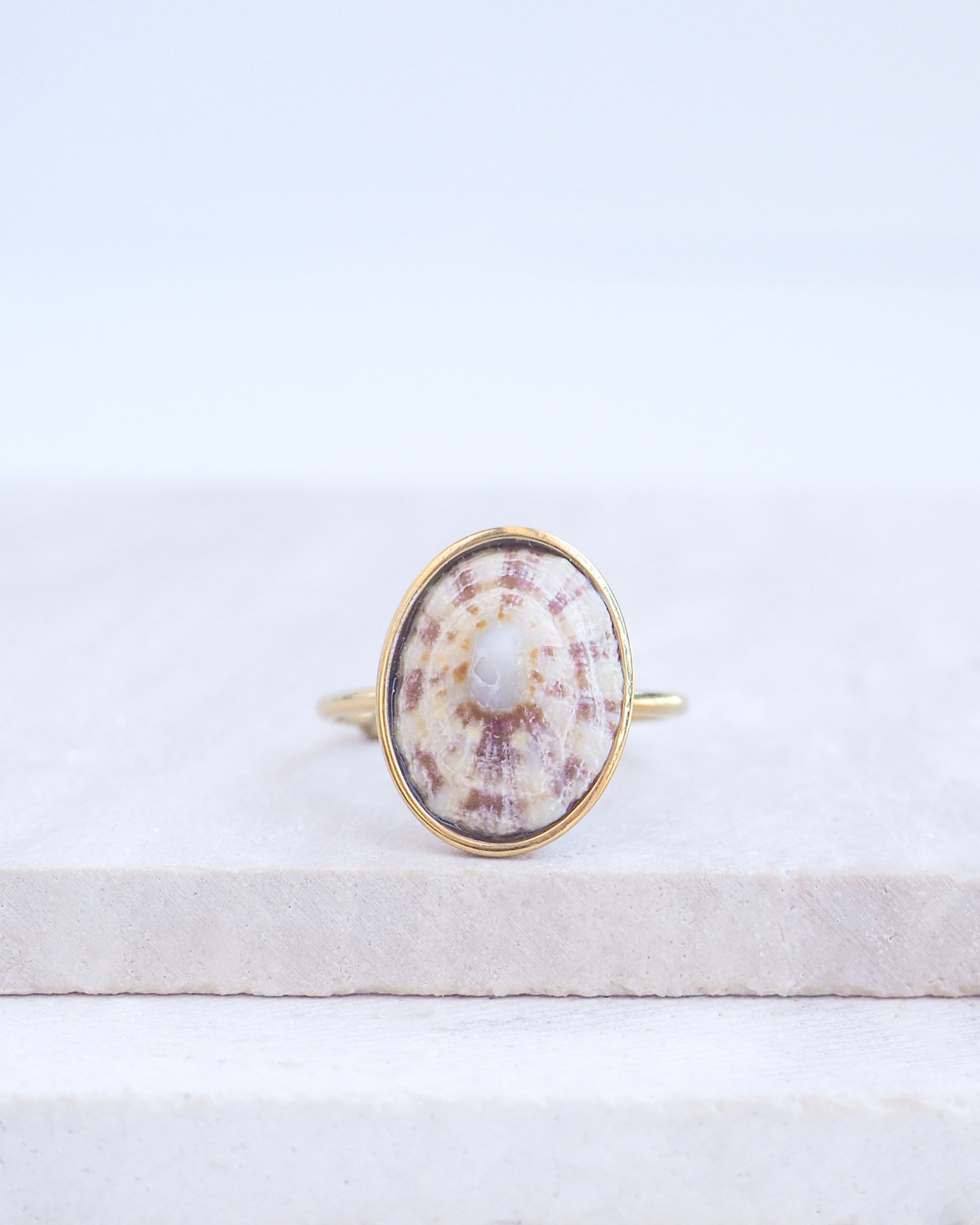 Other side of the Light Limpet Shell Bezel Ring on display. Made with a handpicked Rough Limpet Limpet Shell from Portugal set in a 18k gold stainless steel bezel. It's an adjustable ring 