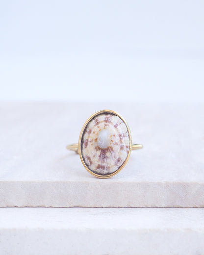 Other side of the Light Limpet Shell Bezel Ring on display. Made with a handpicked Rough Limpet Limpet Shell from Portugal set in a 18k gold stainless steel bezel. It's an adjustable ring 
