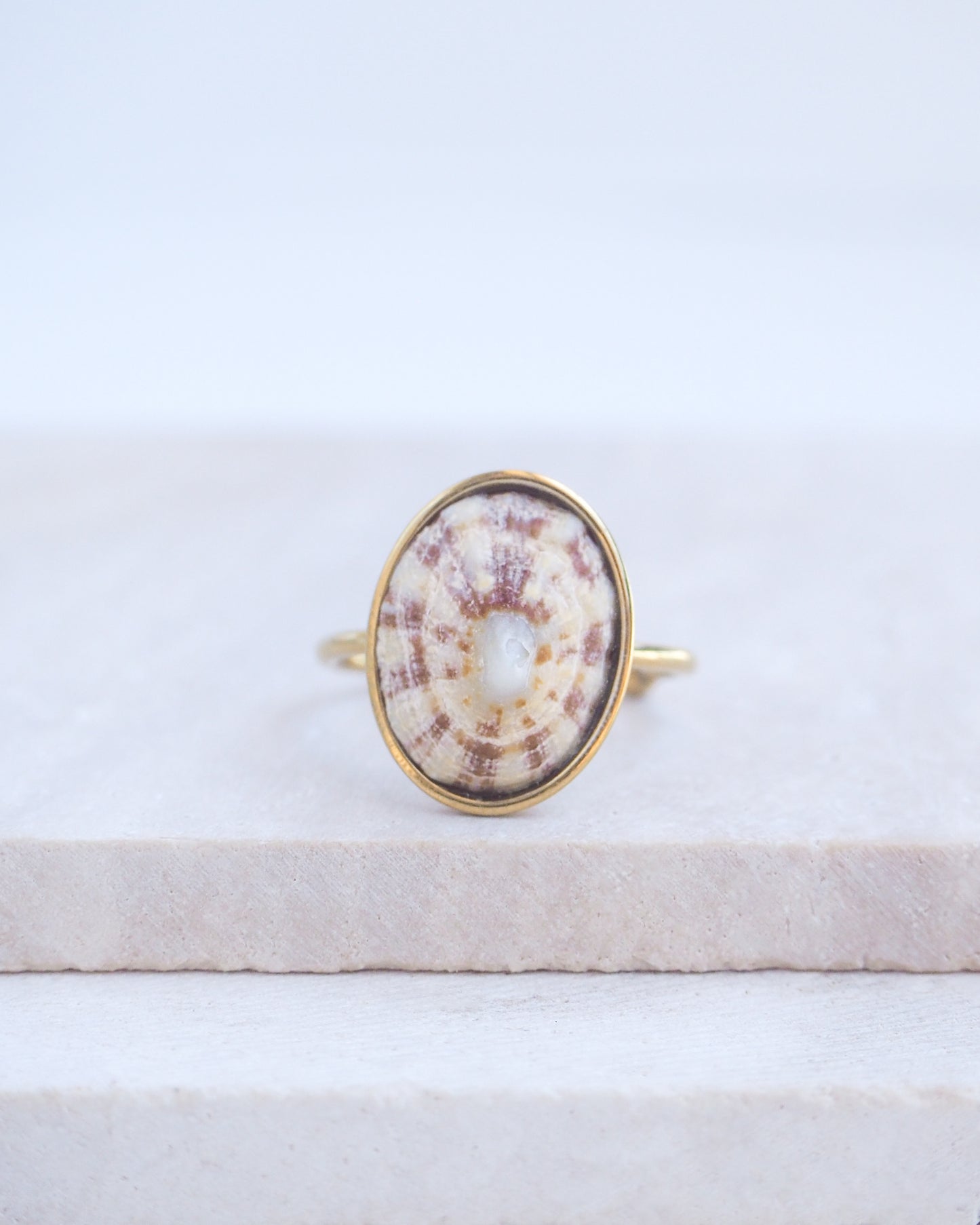 Light Limpet Shell Bezel Ring on display. Made with a handpicked Rough Limpet Limpet Shell from Portugal set in a 18k gold stainless steel bezel. It's an adjustable ring 