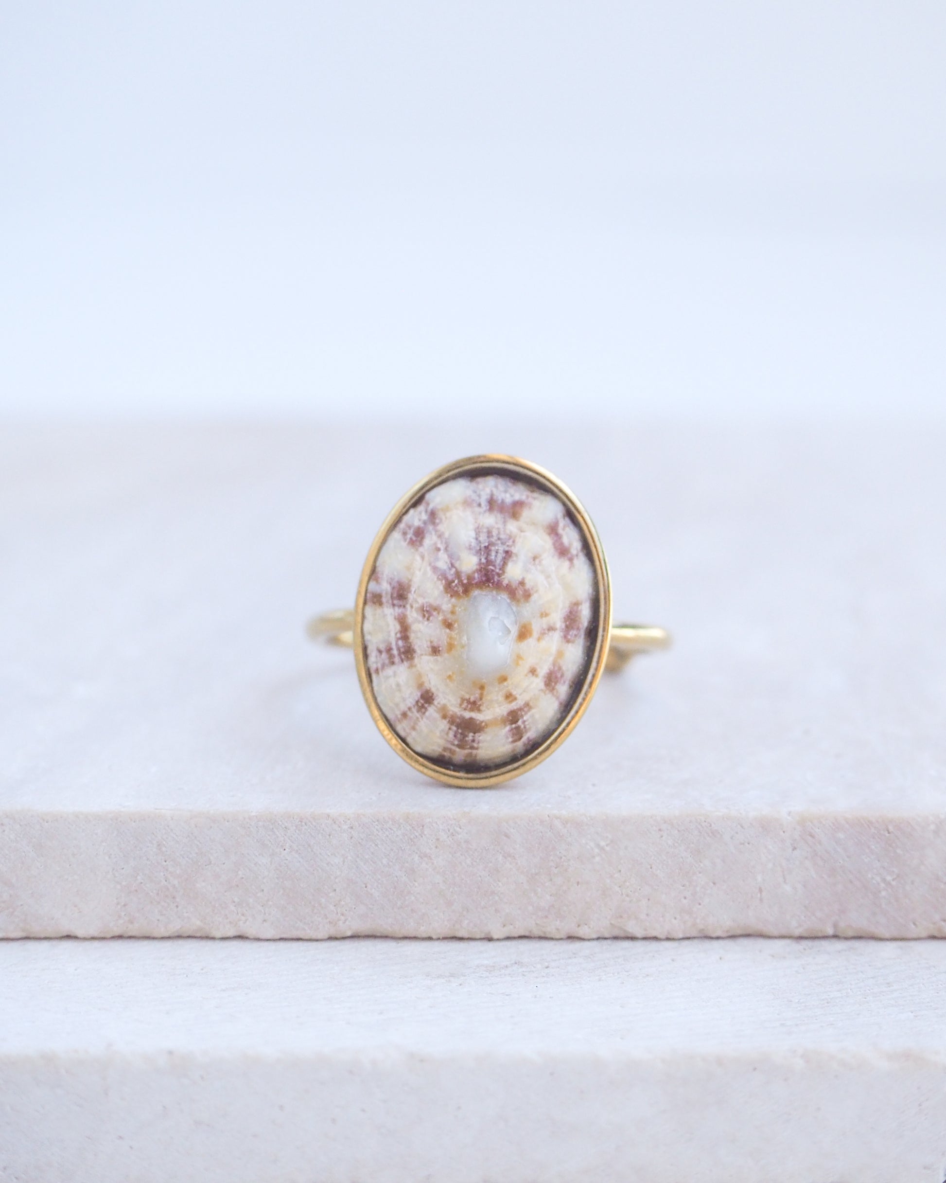 Light Limpet Shell Bezel Ring on display. Made with a handpicked Rough Limpet Limpet Shell from Portugal set in a 18k gold stainless steel bezel. It's an adjustable ring 