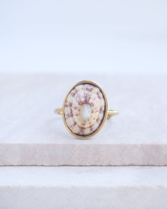Light Limpet Shell Bezel Ring on display. Made with a handpicked Rough Limpet Limpet Shell from Portugal set in a 18k gold stainless steel bezel. It's an adjustable ring 