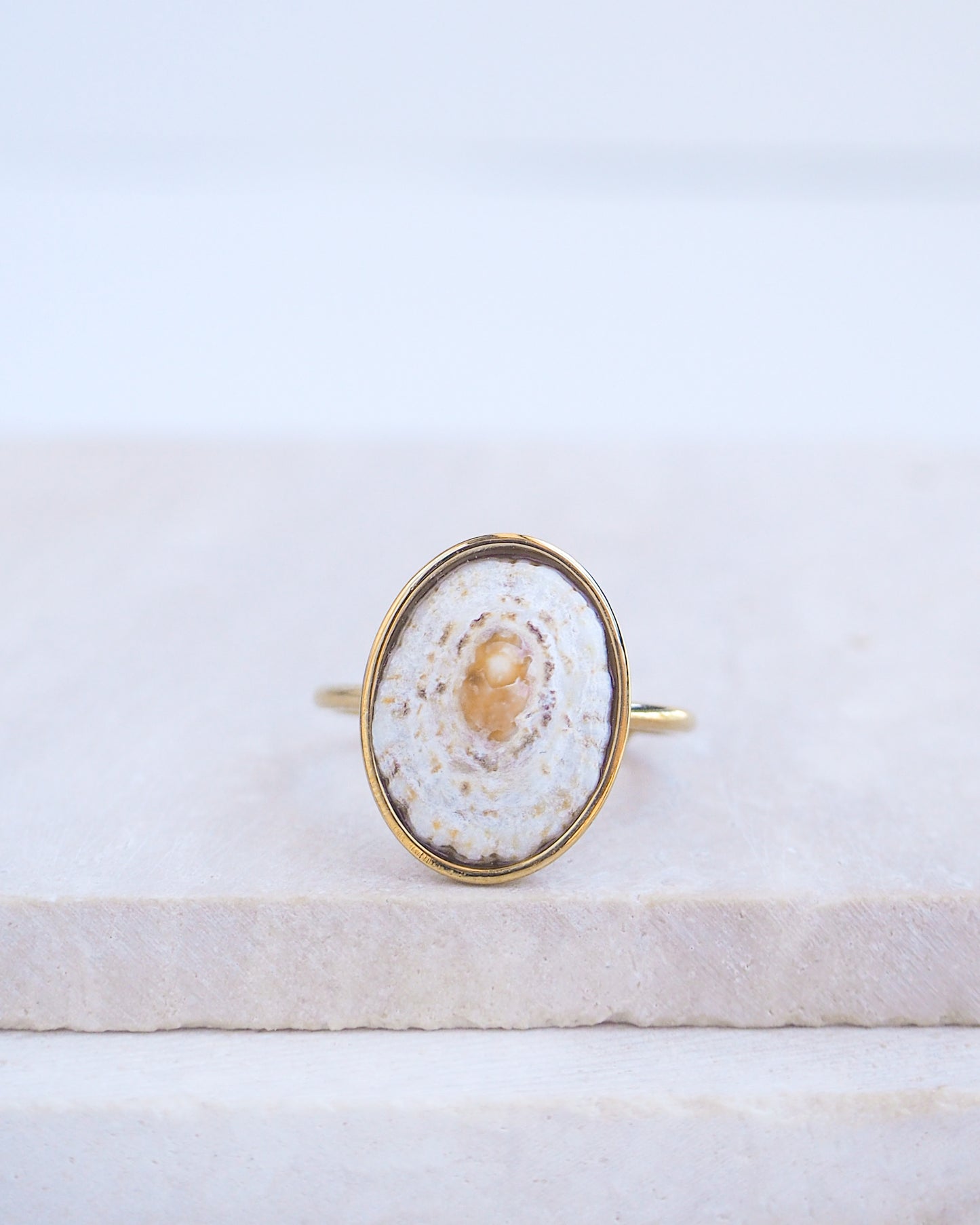 Light Limpet Shell Bezel Ring on display. Made with a handpicked Rough Limpet Limpet Shell from Portugal set in a 18k gold stainless steel bezel. It's an adjustable ring. The shell is off white and has a orange center. 