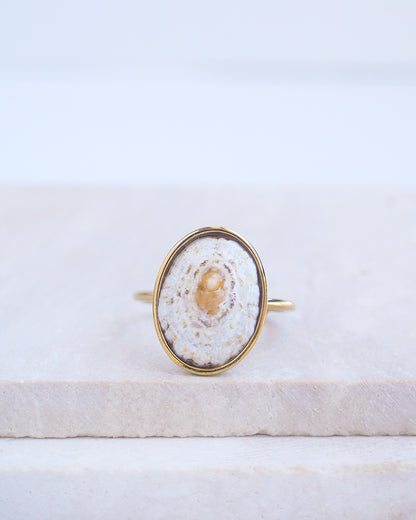 Light Limpet Shell Bezel Ring on display. Made with a handpicked Rough Limpet Limpet Shell from Portugal set in a 18k gold stainless steel bezel. It's an adjustable ring. The shell is off white and has a orange center. 