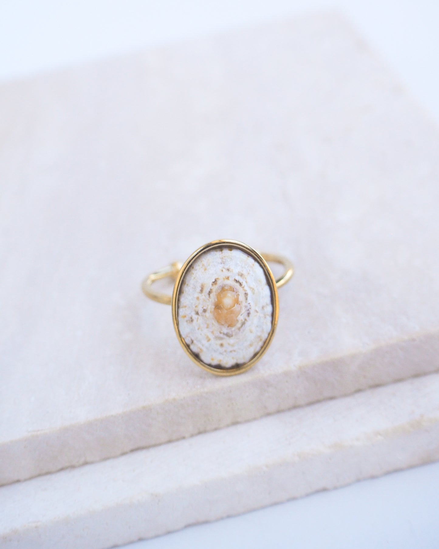 Side view of Light Limpet Shell Bezel Ring II on display. Made with a handpicked Rough Limpet Limpet Shell from Portugal set in a 18k gold stainless steel bezel. It's an adjustable ring. The shell is off white and has a orange center. 