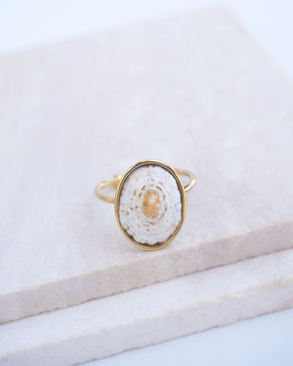 Side view of Light Limpet Shell Bezel Ring II on display. Made with a handpicked Rough Limpet Limpet Shell from Portugal set in a 18k gold stainless steel bezel. It's an adjustable ring. The shell is off white and has a orange center. 