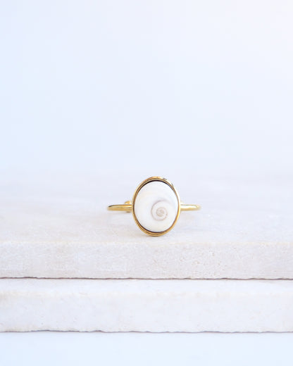 SEASHELL RING ~ Tiny White Eye of Saint Lucia Gold Bezel V