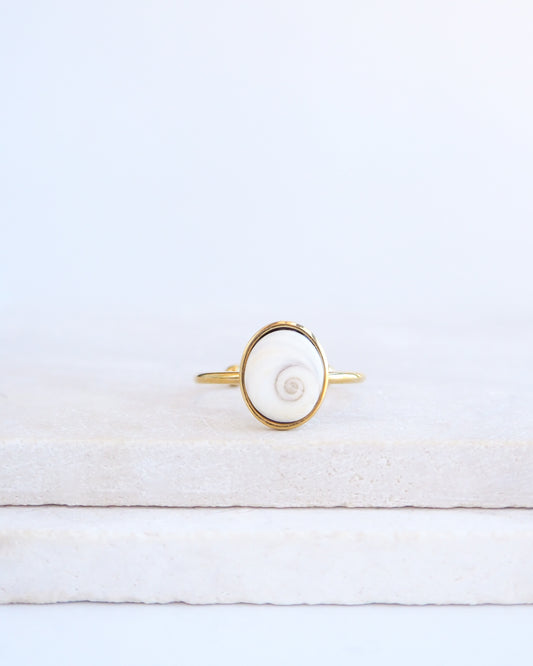 SEASHELL RING ~ Tiny White Eye of Saint Lucia Gold Bezel V