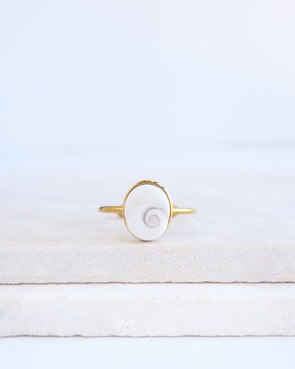 A gold ring featuring a white eye of saint lucia shiva eye shell inlay, displayed on a light textured stone surface against a soft white background.