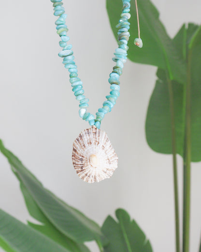 BIG LIMPET SHELL NECKLACE ~ Turquoise Stones