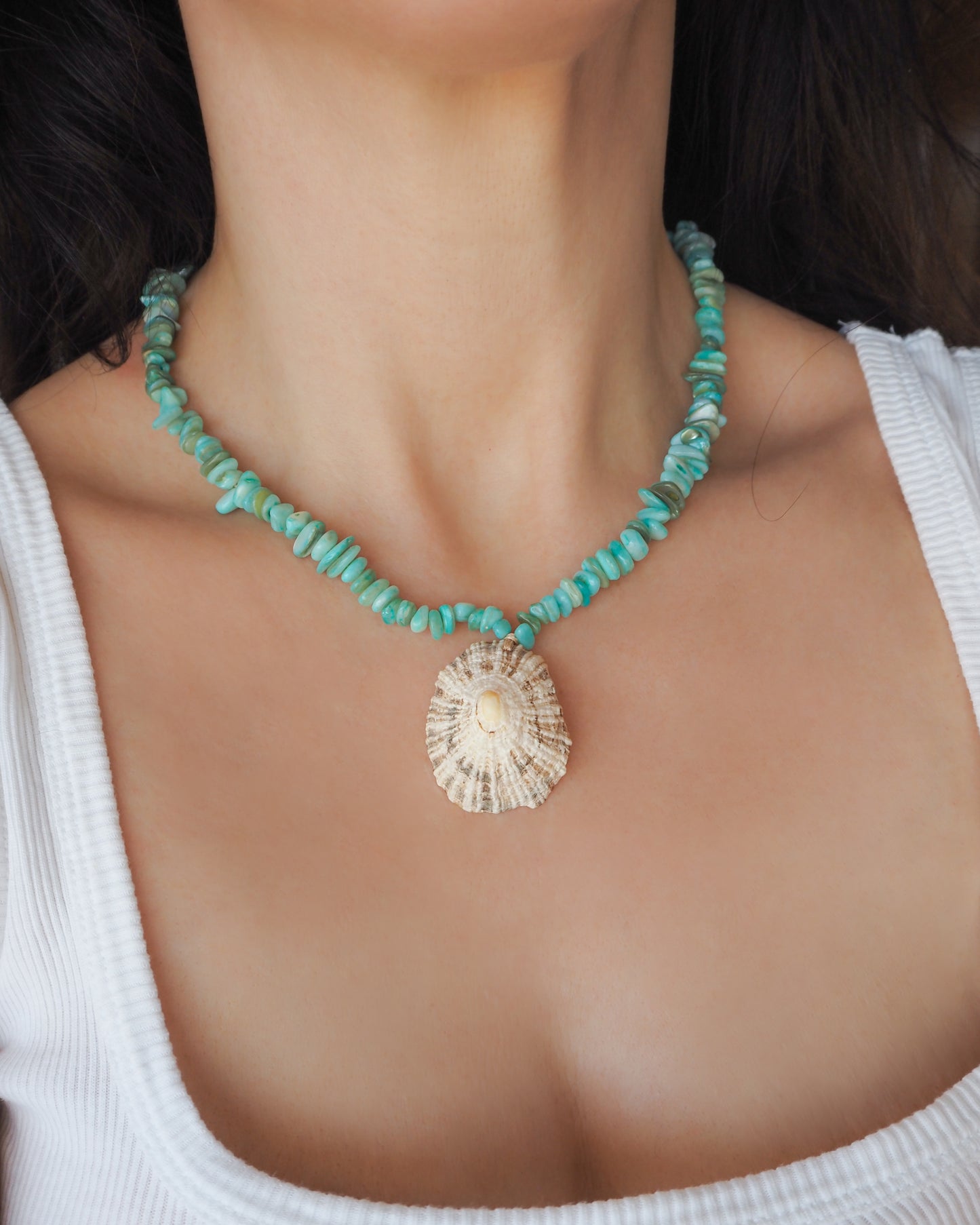 A close-up of a model wearing a turquoise and seashell necklace. The necklace features a strand of small, irregular turquoise beads with a large, textured limpet seashell pendant hanging from a gold-tone clasp. The limpet shell is handpicked from Portugal and has white contrast dark brown stripes