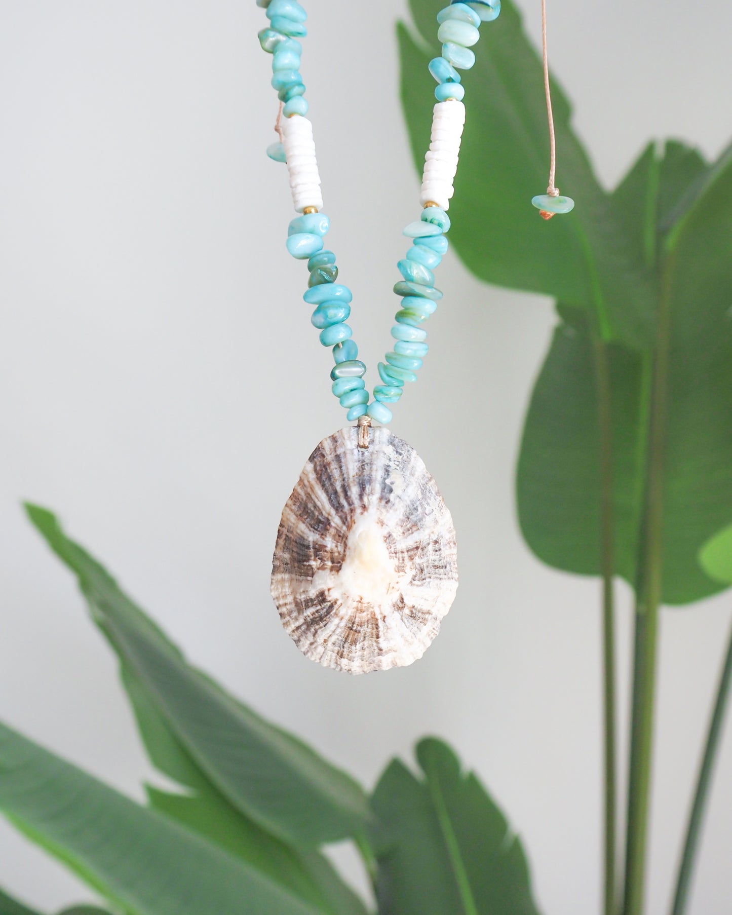 BIG LIMPET SHELL NECKLACE ~ Turquoise Stones and White Shell Beads