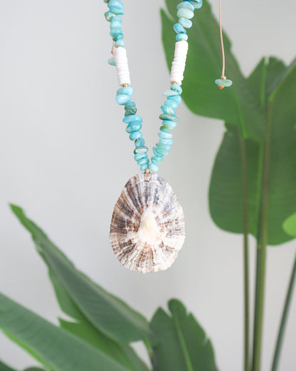 BIG LIMPET SHELL NECKLACE ~ Turquoise Stones and White Shell Beads