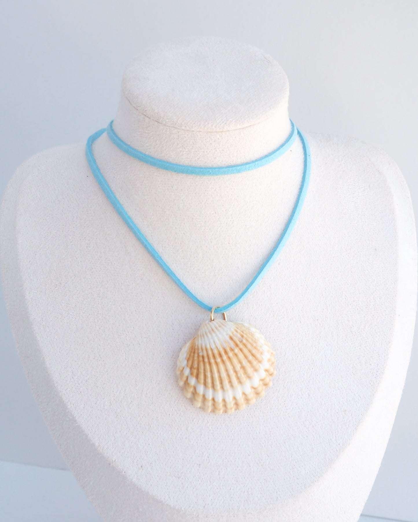 A light blue cord necklace with a natural scallop shell pendant, displayed on a white textured jewelry bust. The shell is a mediterranean cockle shell from Portugal and is about 5 cm. The color of the shell is yellow white and it has vertical ridges. 