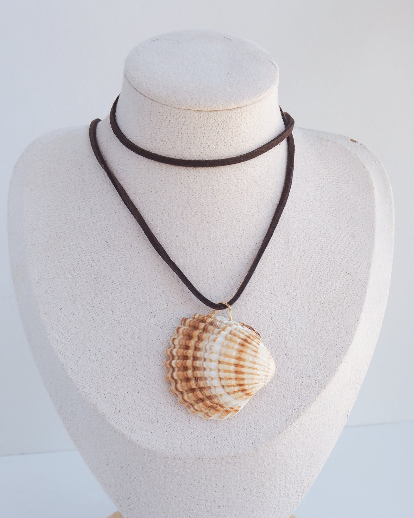 A seashell pendant necklace on a dark brown cord, displayed on a cream-colored mannequin bust against a white background. The shell is a mediterranean cockle shell from Portugal. The shell has yellow white colors and ridges. 
