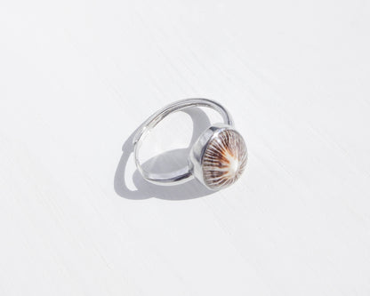 Beach Chic 925 Silver Ring with Limpet Shell Star - Oceanic Elegance and Coastal Glamour, Jewelry from Portugal, Seashell jewelry, Silver shell ring