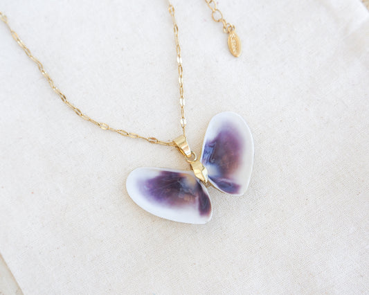 Purple Coquina Sea Butterfly Shell Necklace XIV with gold deluxe chain necklace on display