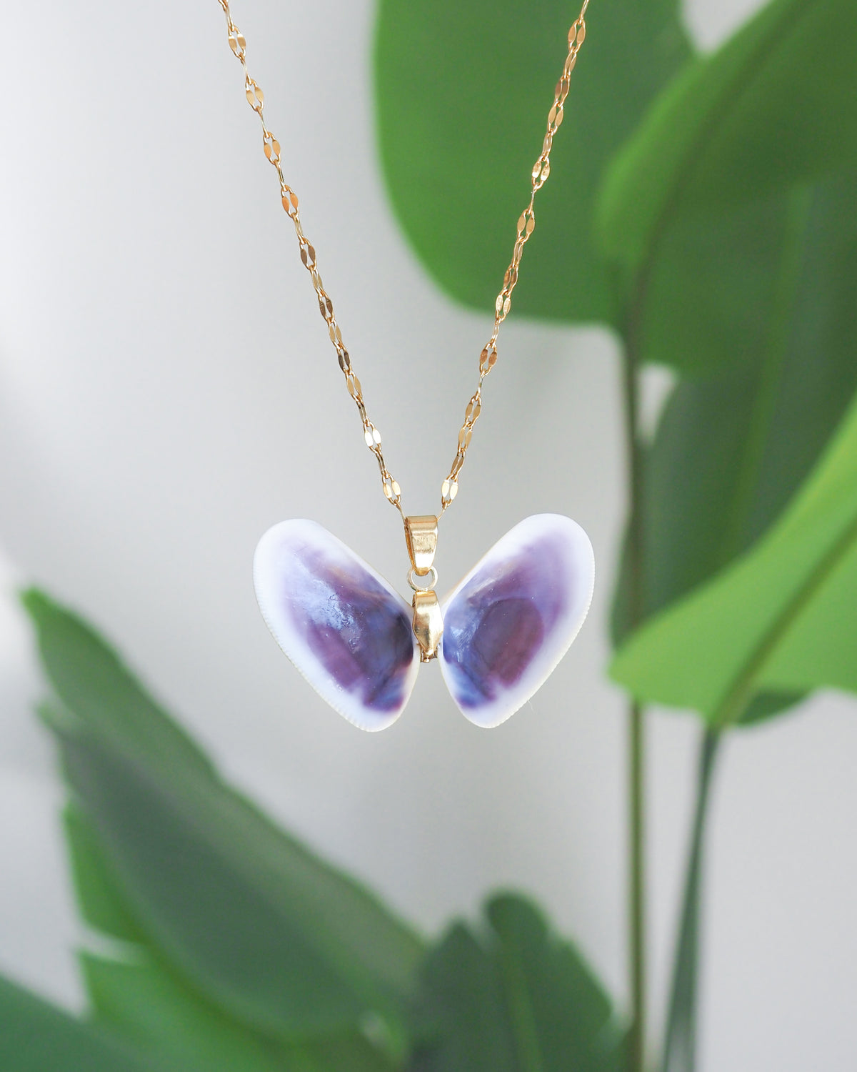 A gold chain necklace with a butterfly-shaped shell pendant made from two white and purple coquina seashells, set against a soft-focus background of green leaves.