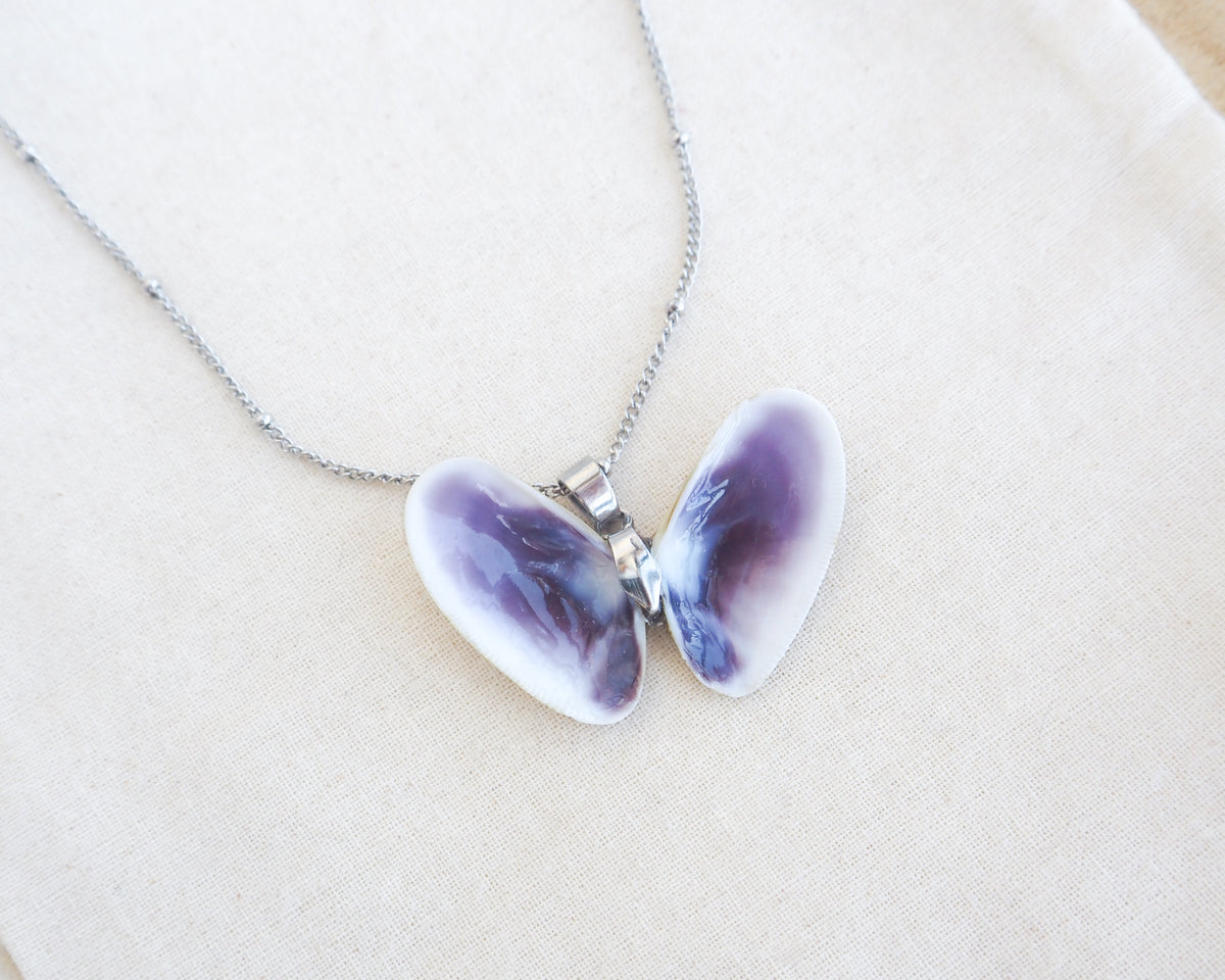 SEASHELL NECKLACE ~ Silver Butterfly Shell