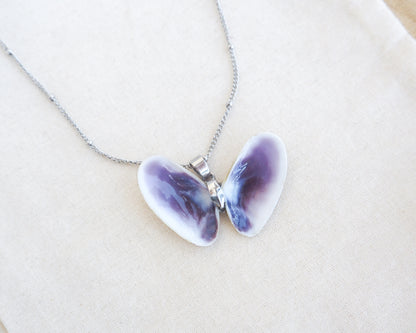 SEASHELL NECKLACE ~ Silver Butterfly Shell