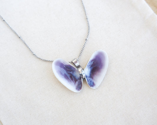 SEASHELL NECKLACE ~ Silver Butterfly Shell