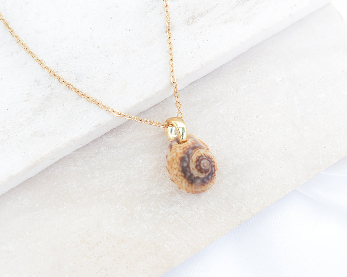 SEASHELL NECKLACE ~ Tritia Neritea Shell IV