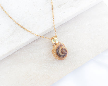 SEASHELL NECKLACE ~ Tritia Neritea Shell IV