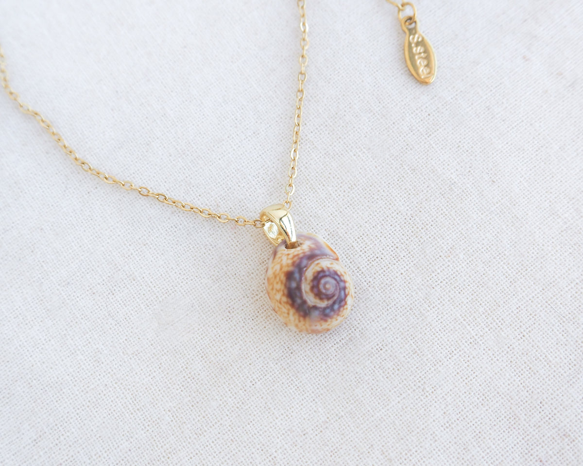 SEASHELL NECKLACE ~ Tritia Neritea Shell IV