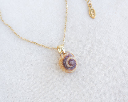 SEASHELL NECKLACE ~ Tritia Neritea Shell IV