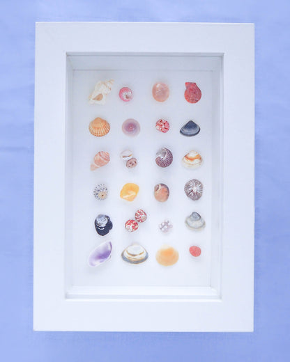 A captivating overview of the 'Portuguese Seashore Mini Mix,' featuring 20 tiny beach treasures curated in a miniature masterpiece, seabylou, SEA by LOU