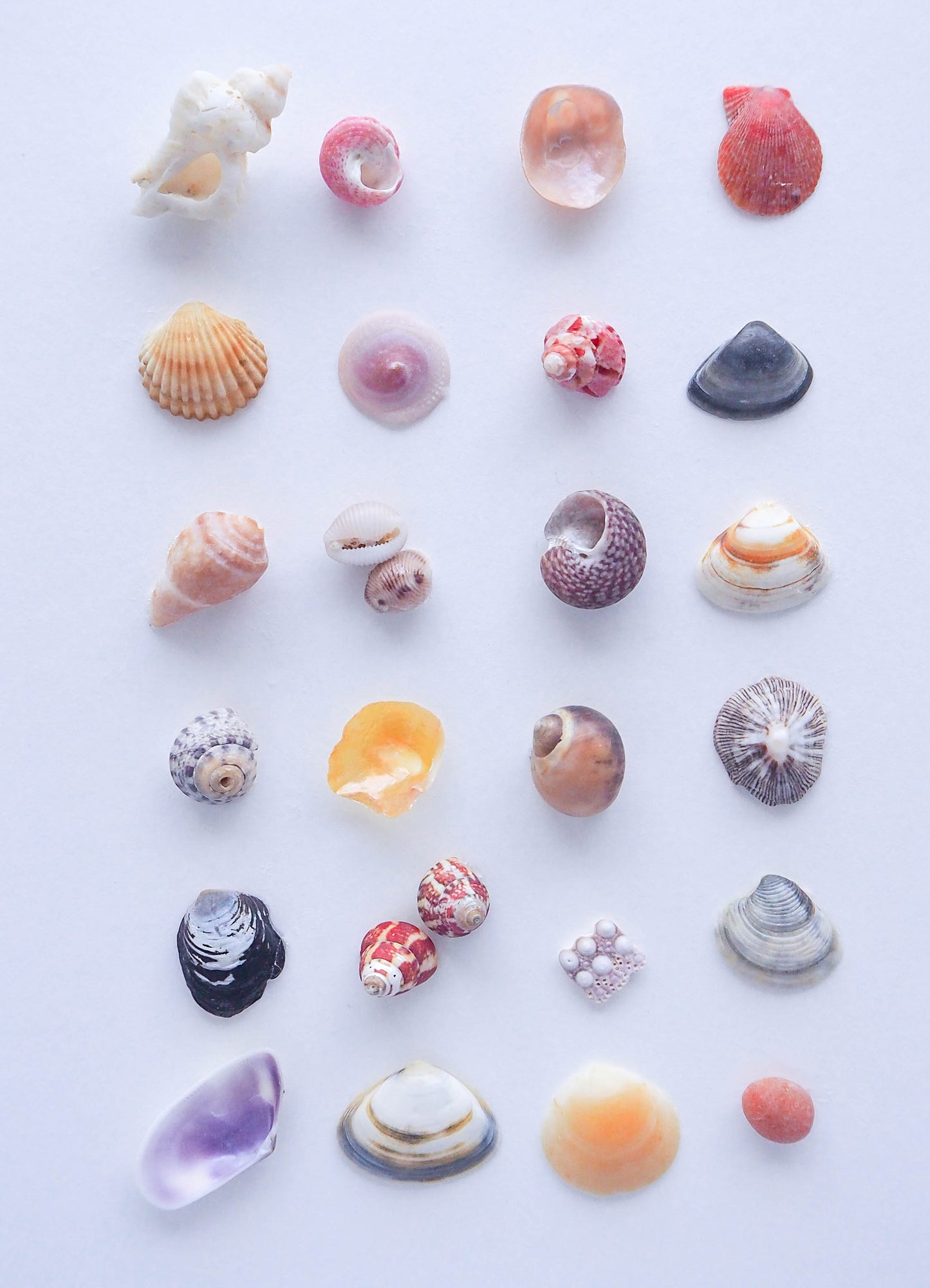 A delightful composition a miniature coastal landscape within the 'Portuguese Seashore Mini Mix