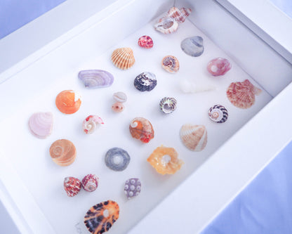 Sea Treasures Mini Summer Mix || Jóias do mar VIII