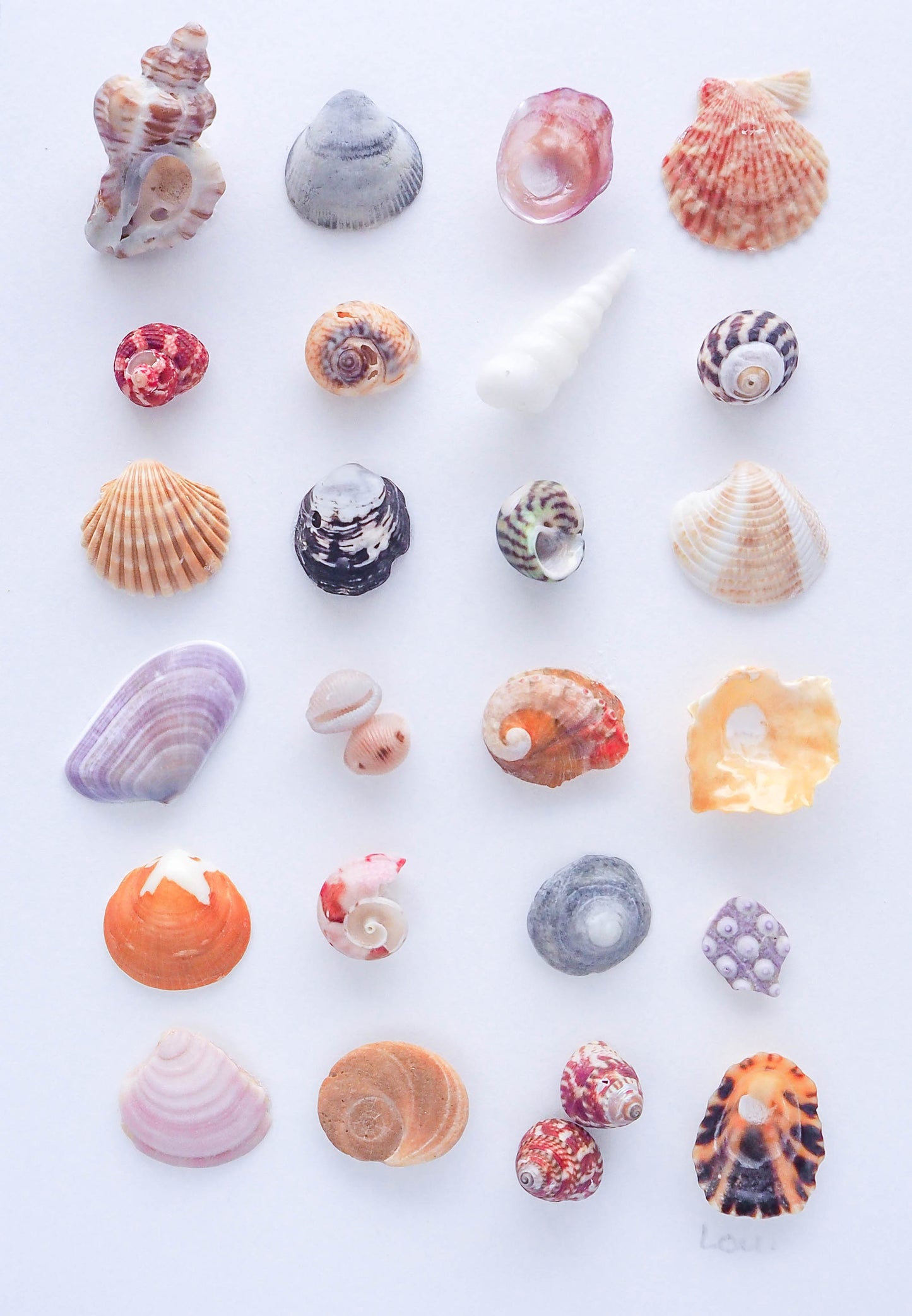 Sea Treasures Mini Summer Mix || Jóias do mar VIII