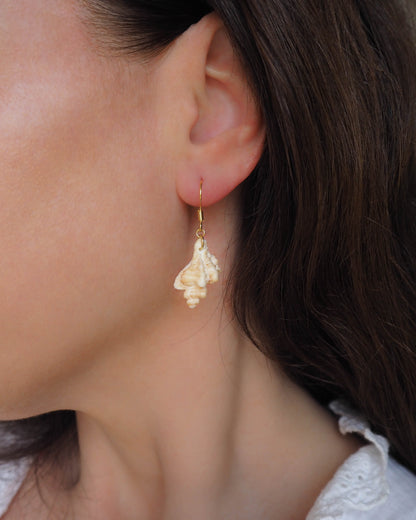Real Shell Earrings Gold Plated from Portugal