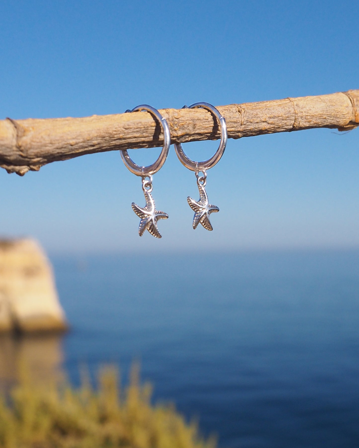 Starfish-shaped earrings hanging from a branch with a scenic ocean background