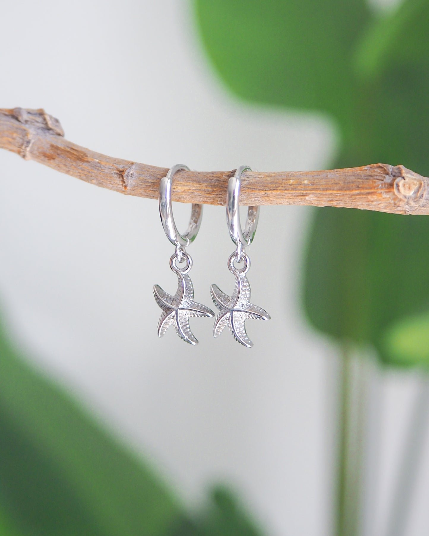 Silver starfish earrings hanging from a branch with a green plant background