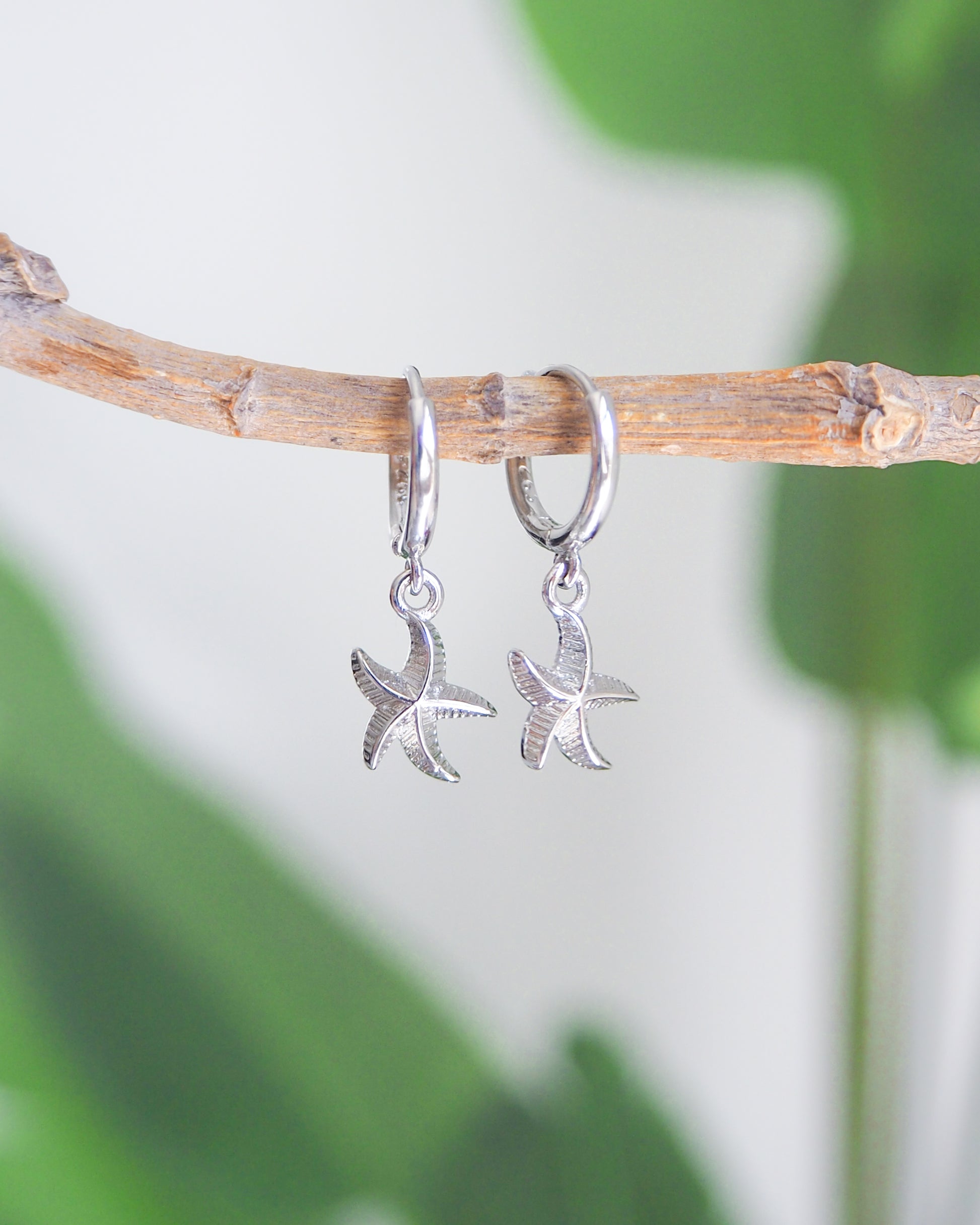 Tiny silver starfish earrings hanging from a branch with a green plant background