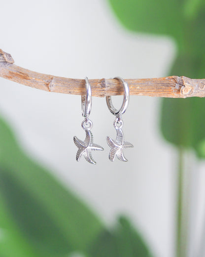 Tiny silver starfish earrings hanging from a branch with a green plant background