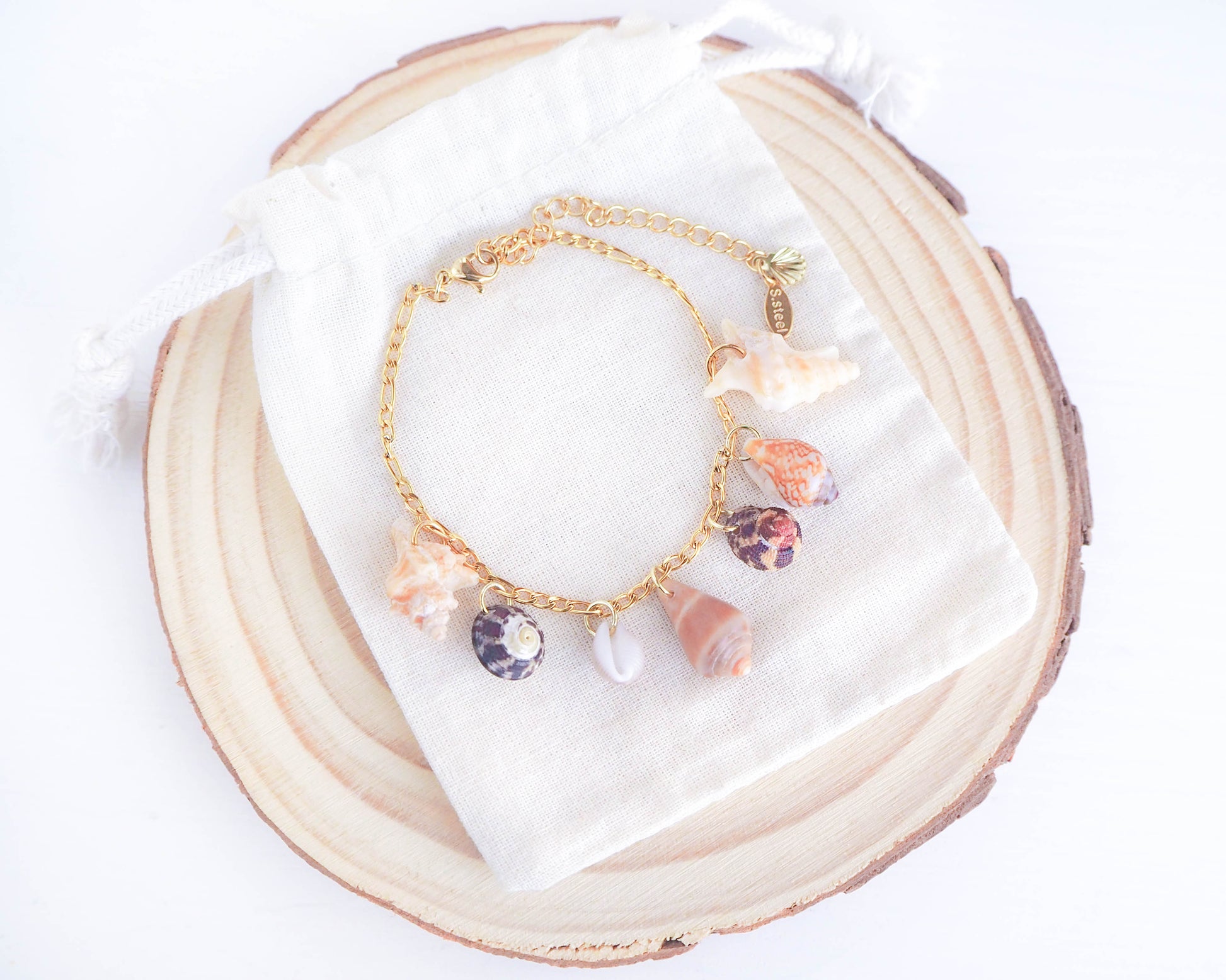 Charm Bracelet Jewelry from Portugal, Coastal Charm Collection: 7 Tiny Shells on Gold Stainless Steel - Mediterranean Cone, European Cowrie, Flat Topshell, Rustic Dove, Common Wentletrap, Sting Winkle bracelet
