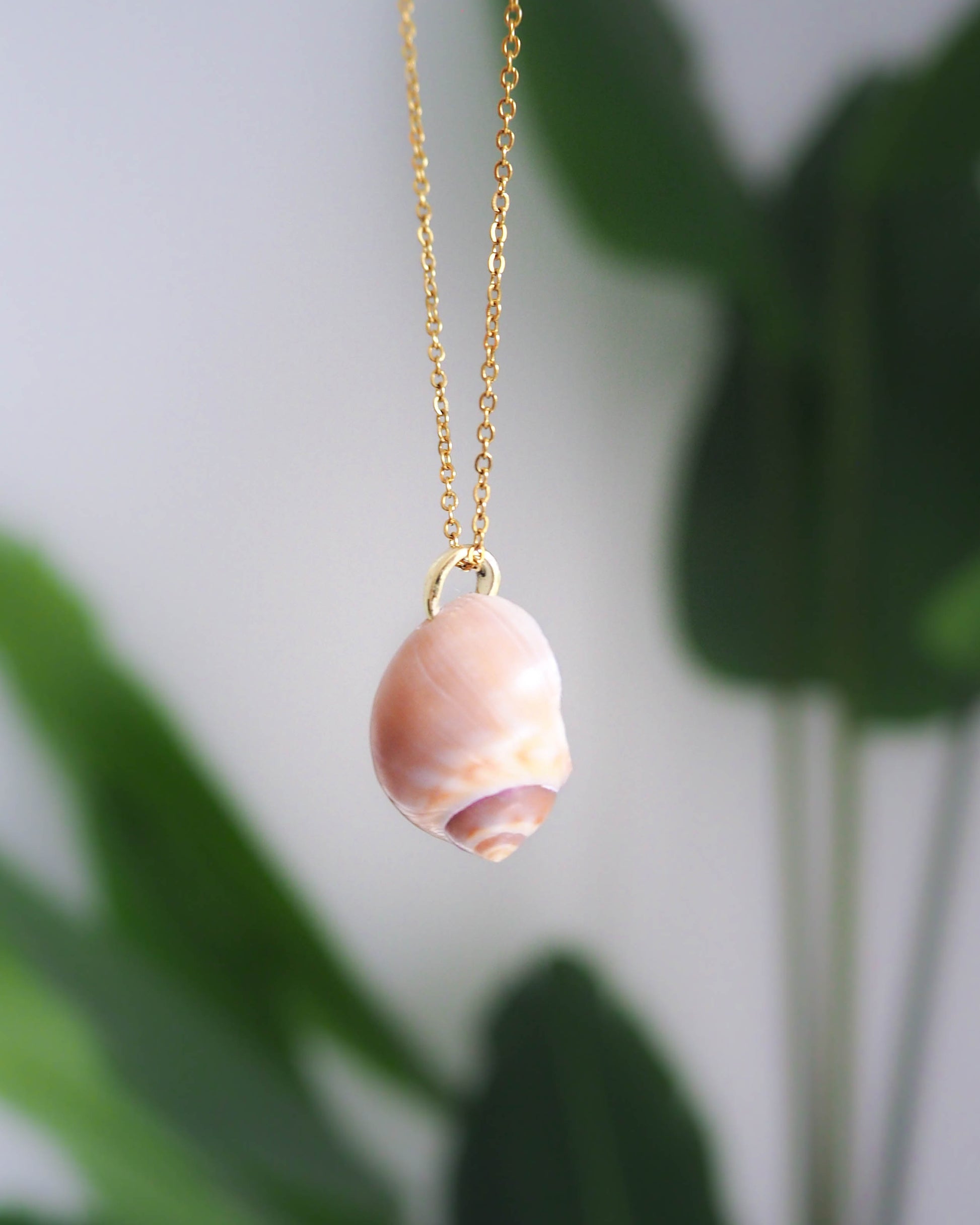 Gold Moon Shell Necklace