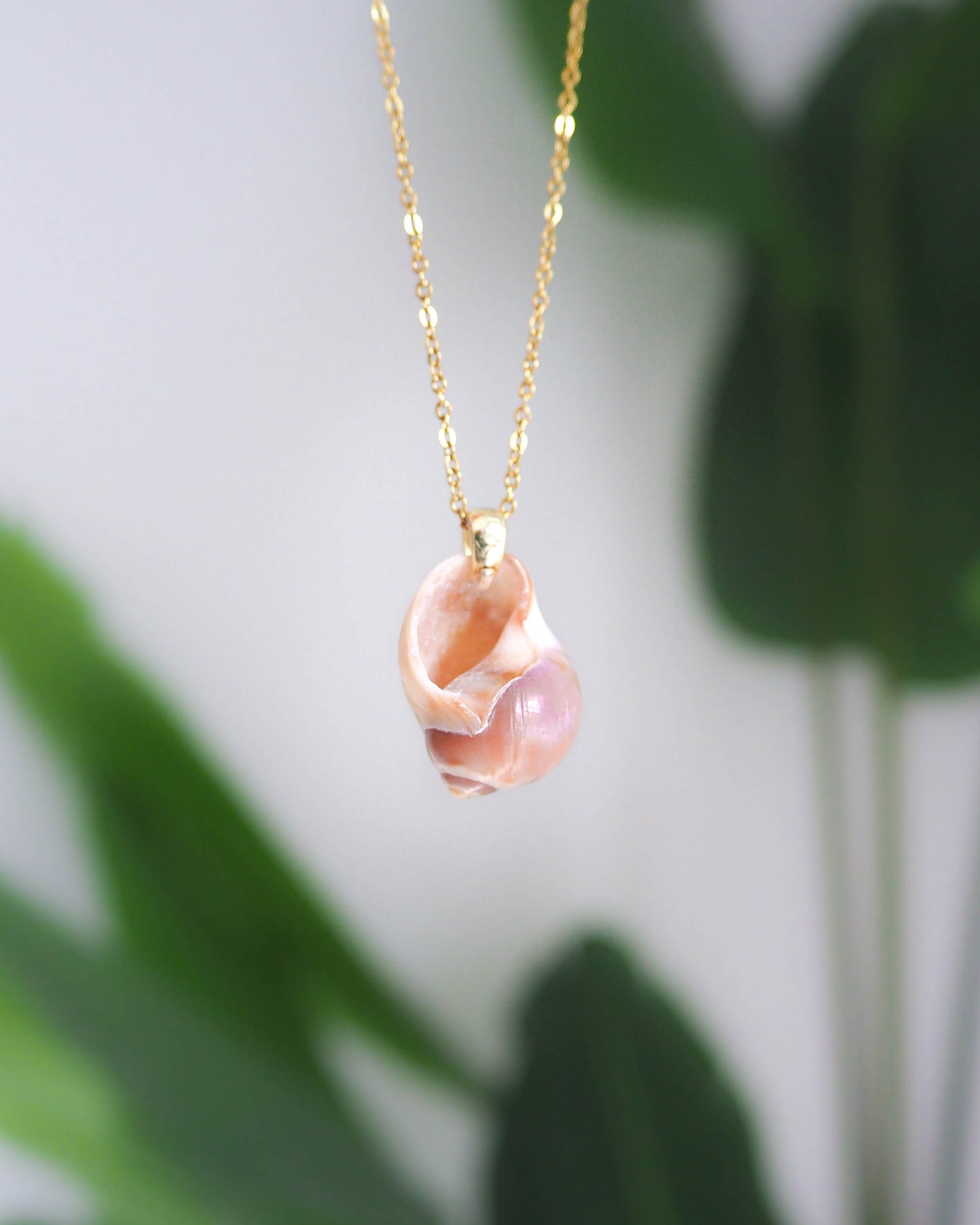 SEASHELL NECKLACE ~ Gold Moon Shell