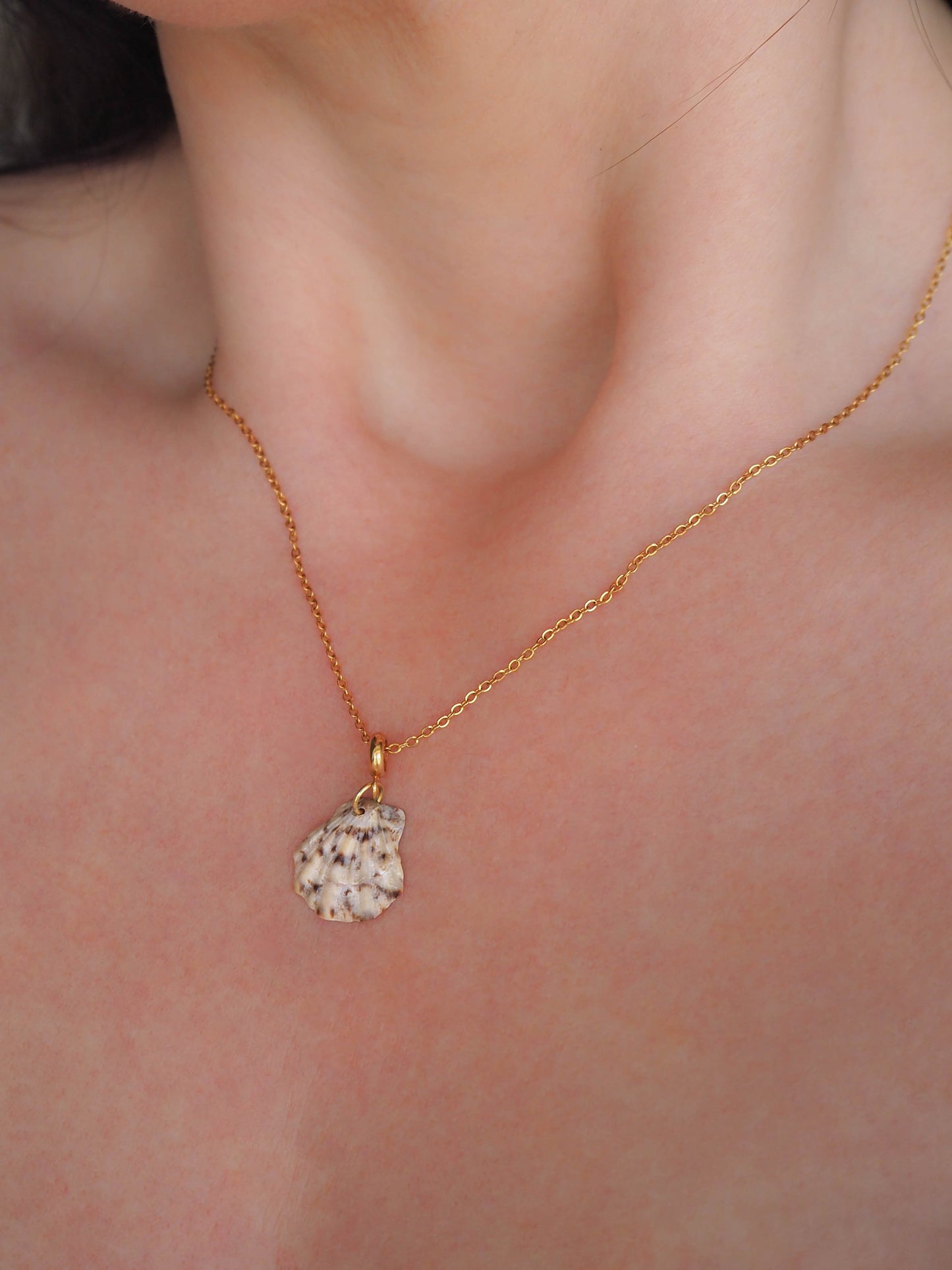 Model wearing Scallop Shell Gold Necklace, Real Shell from Algarve, Portugal. Scallop Shell Necklace, Stainless Steel chain, Cheetah Colors